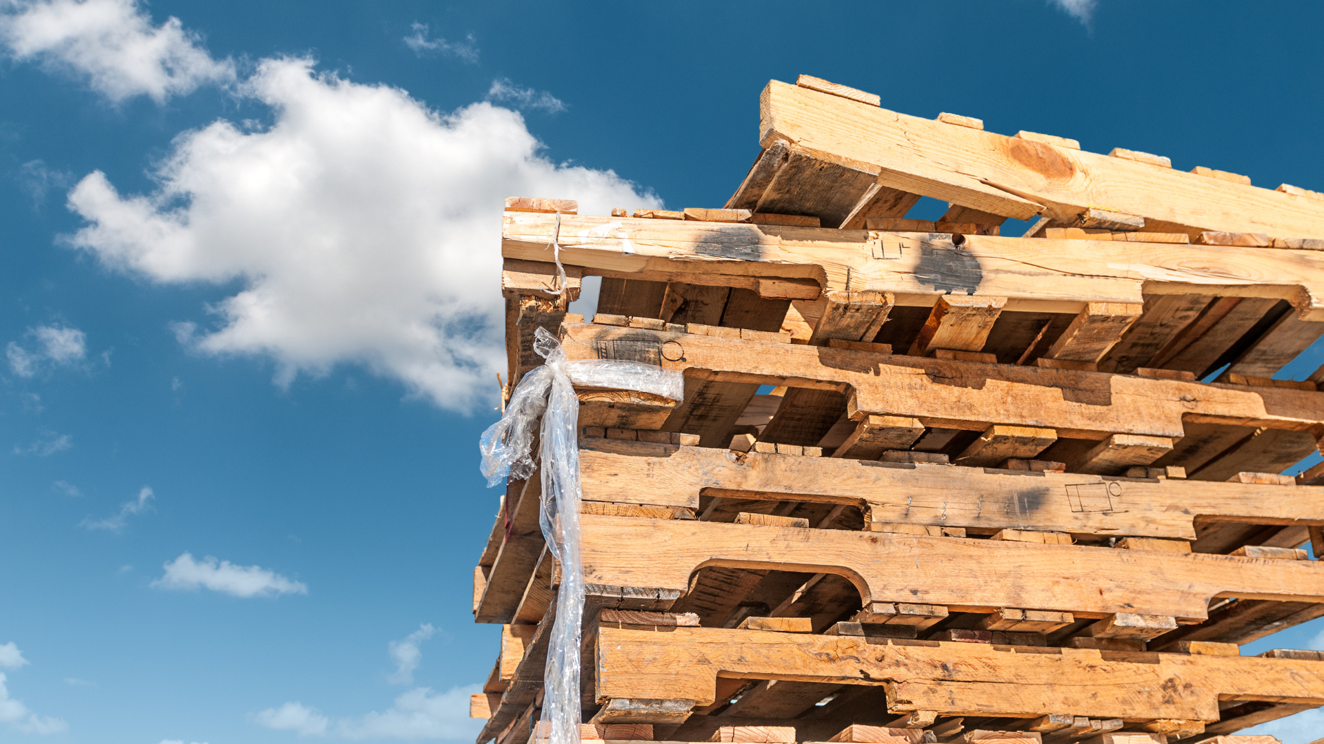 Recycled, Hybrid, and Custom Pallets | Reliable Delivery & Quality ...